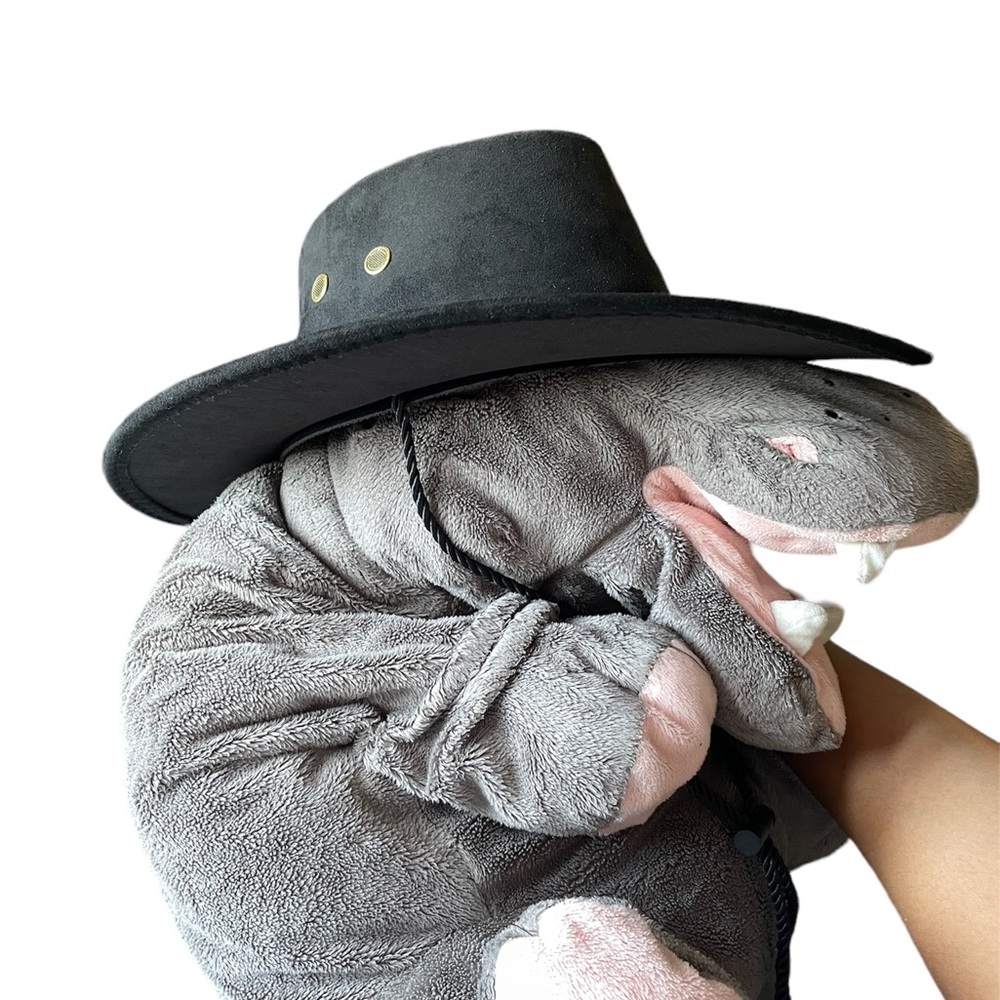 A pair of cowboy/brimmed hats - Picture 2 of 3